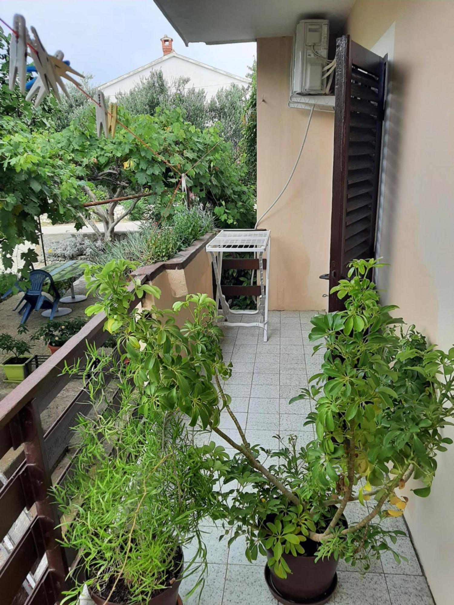Apartmani Marija Povljana Quarto foto