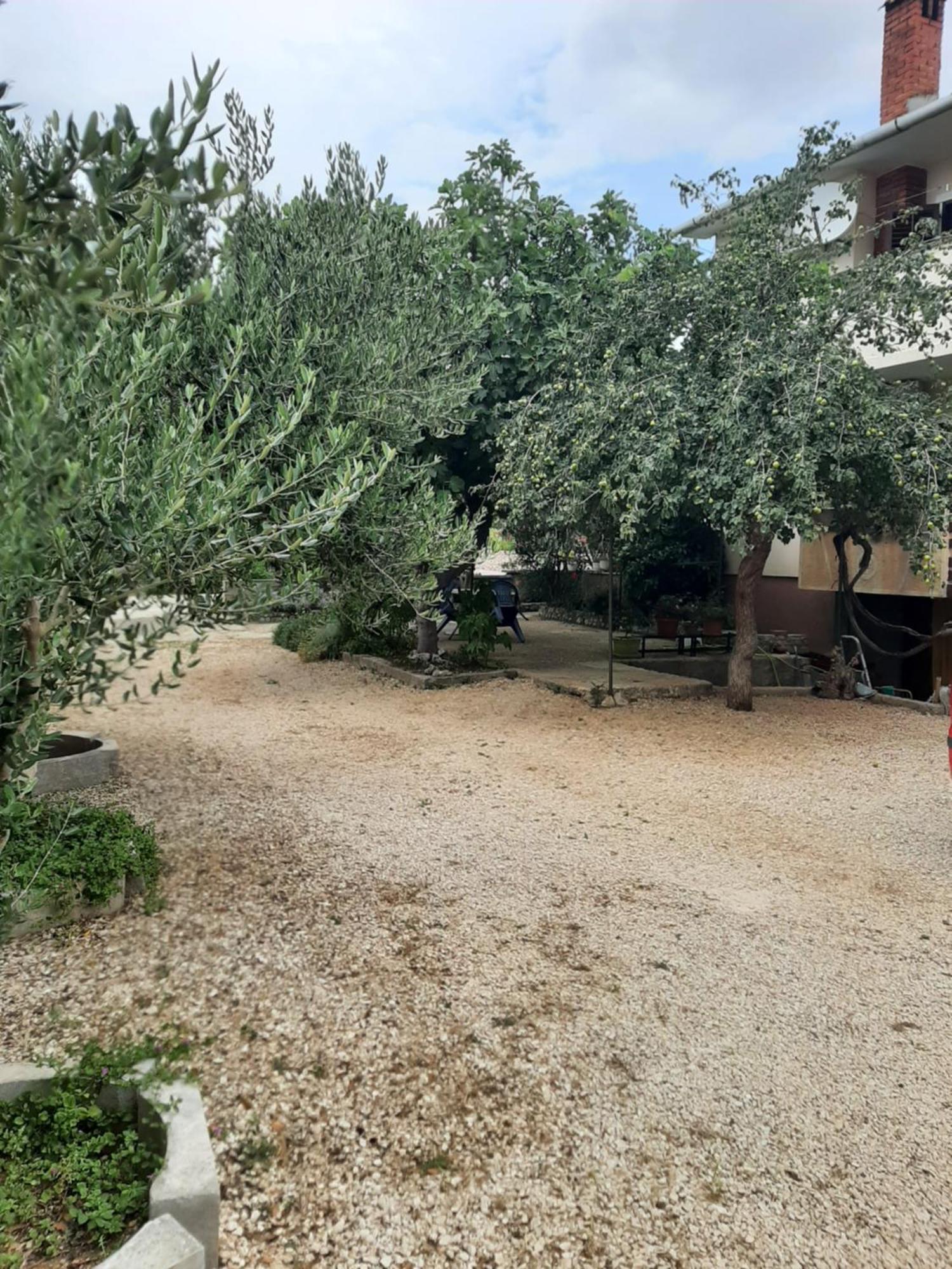 Apartmani Marija Povljana Quarto foto