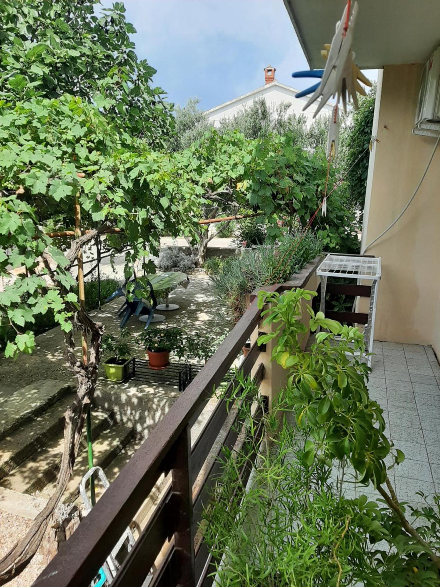 Apartmani Marija Povljana Quarto foto