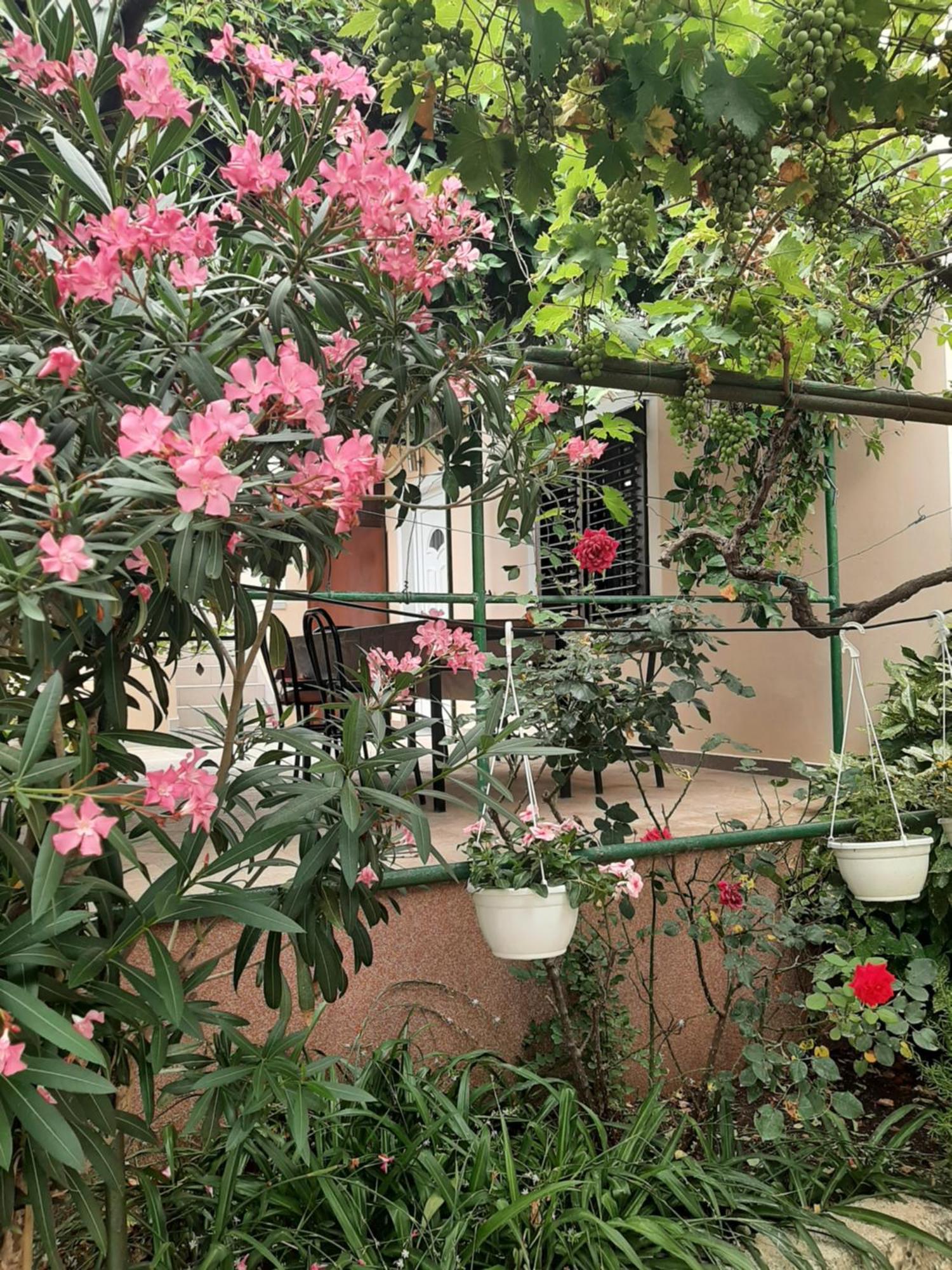 Apartmani Marija Povljana Quarto foto