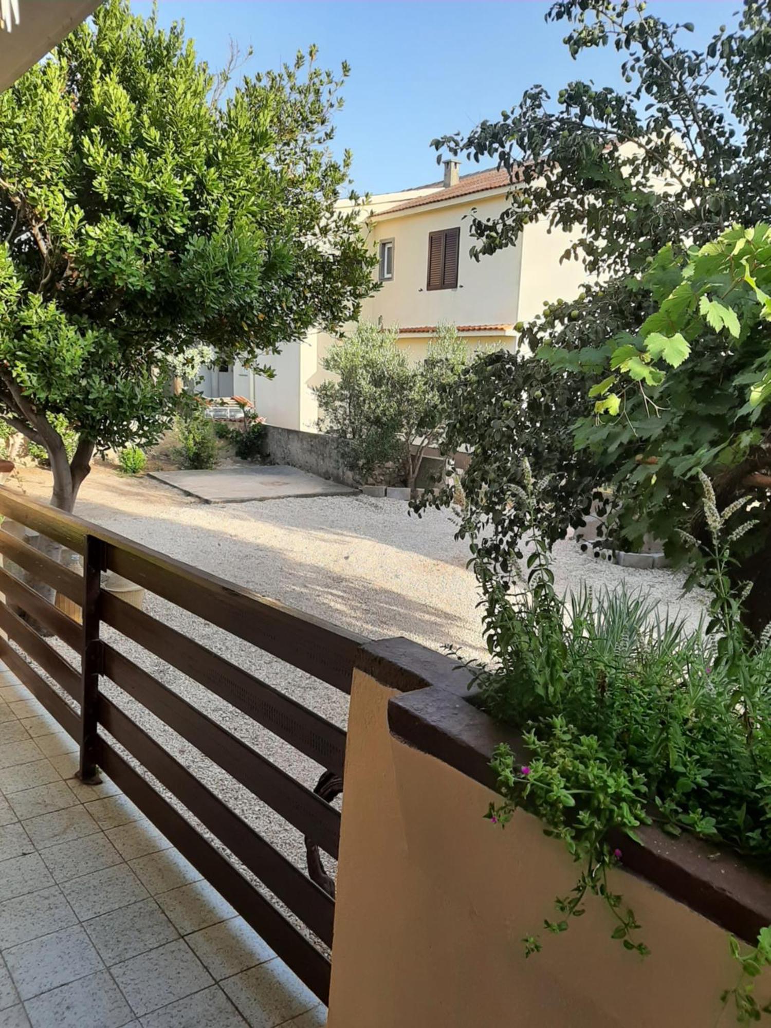 Apartmani Marija Povljana Quarto foto