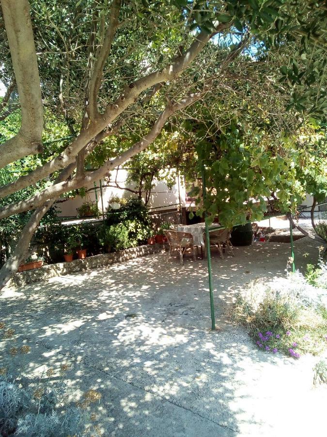 Apartmani Marija Povljana Exterior foto