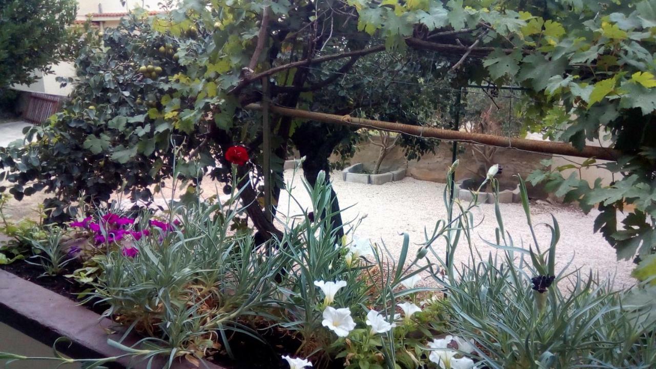 Apartmani Marija Povljana Exterior foto